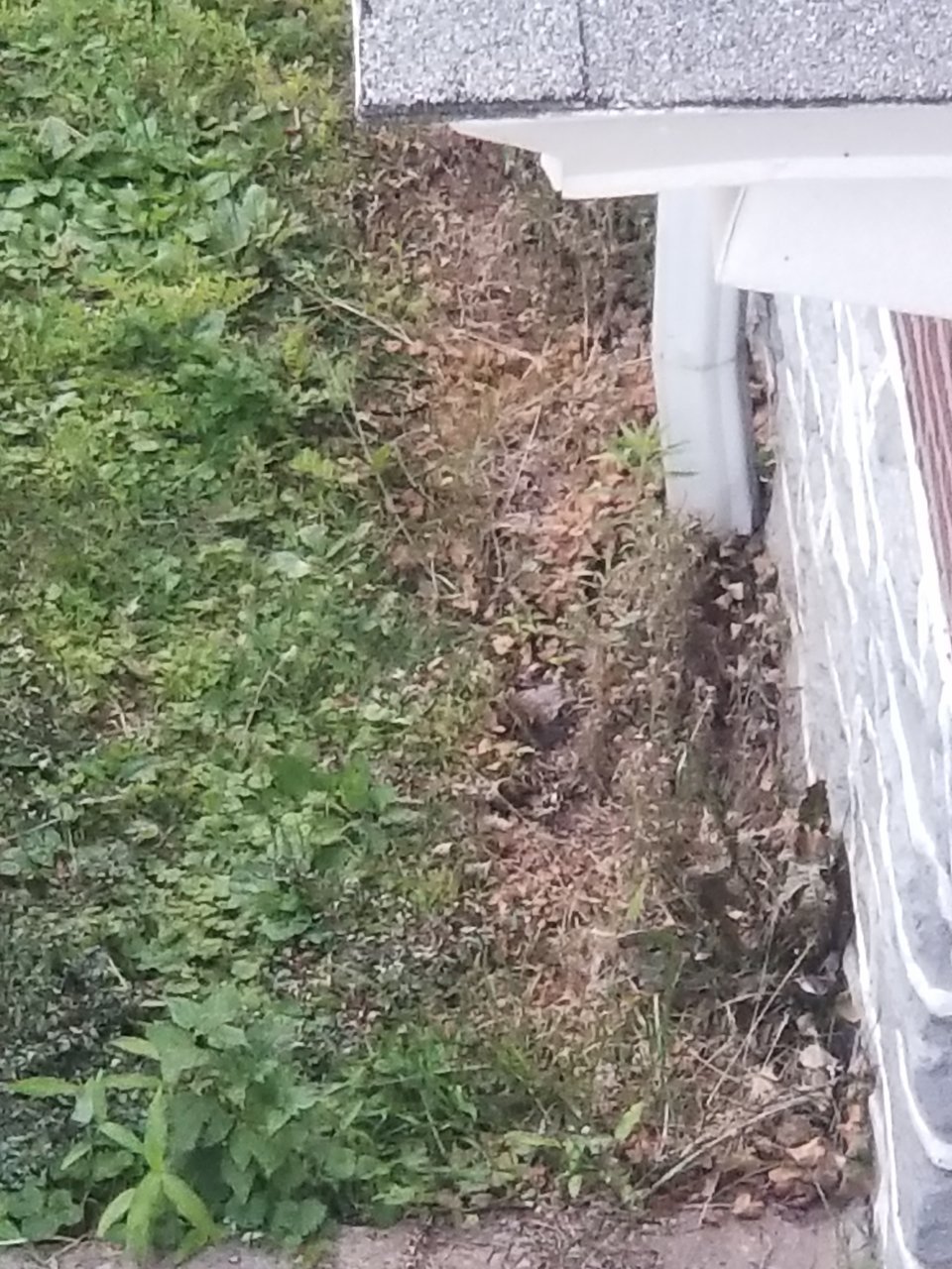 20190623_201716.jpg