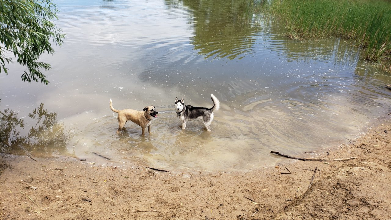 20190624_121235.jpg