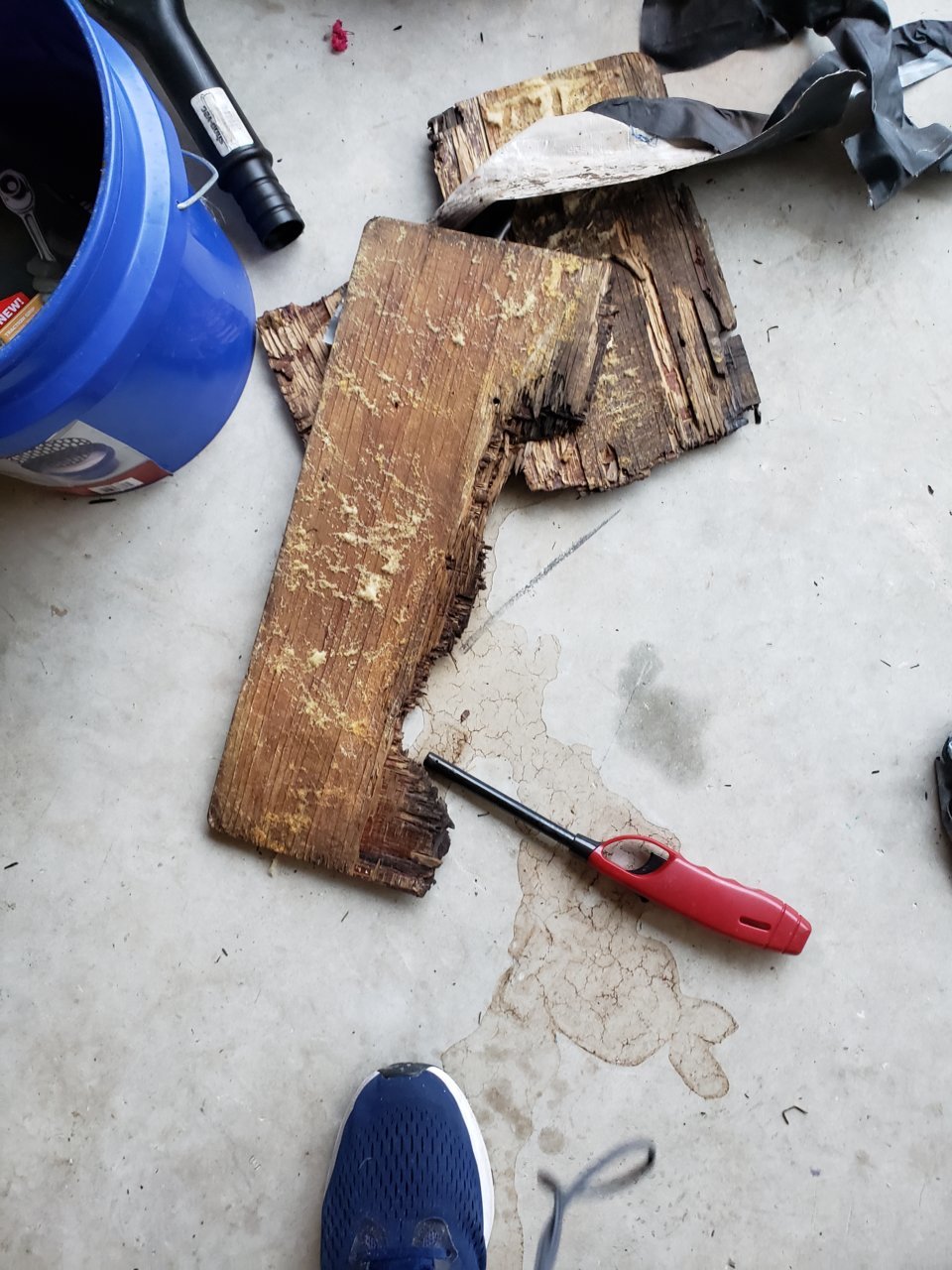 20190624_151520.jpg