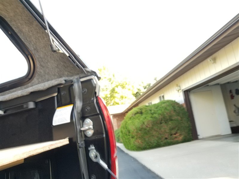 20190625_090124.jpg