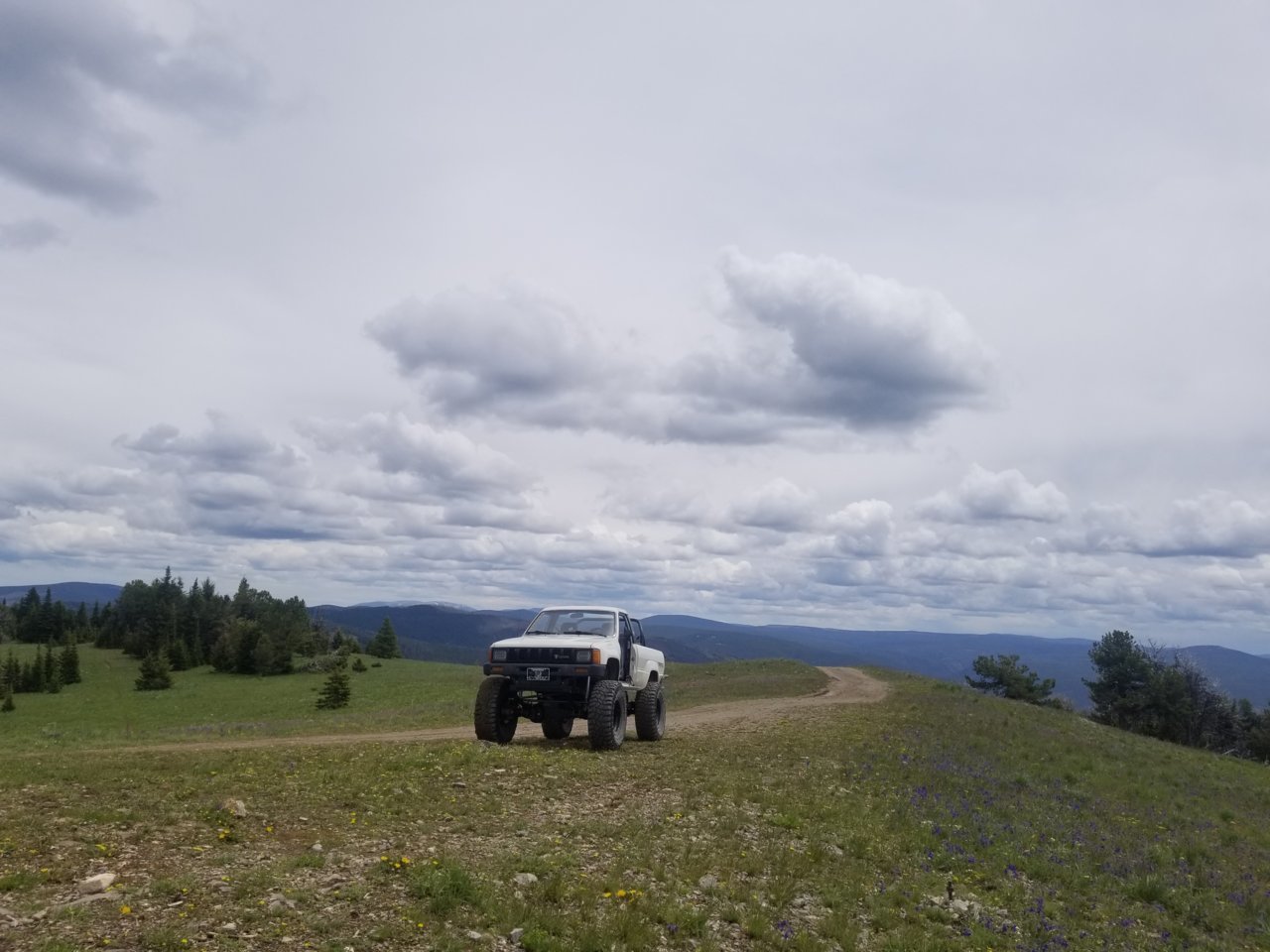 20190625_131912.jpg