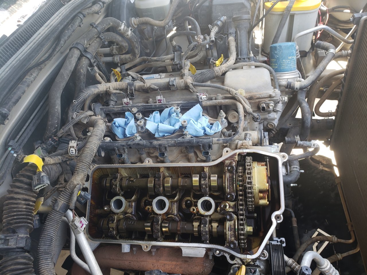 20190625_140948.jpg