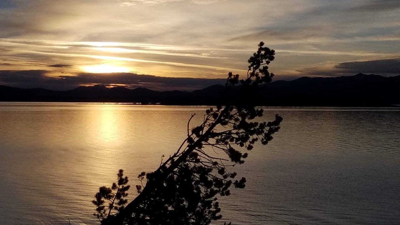 20190626_054938.jpg