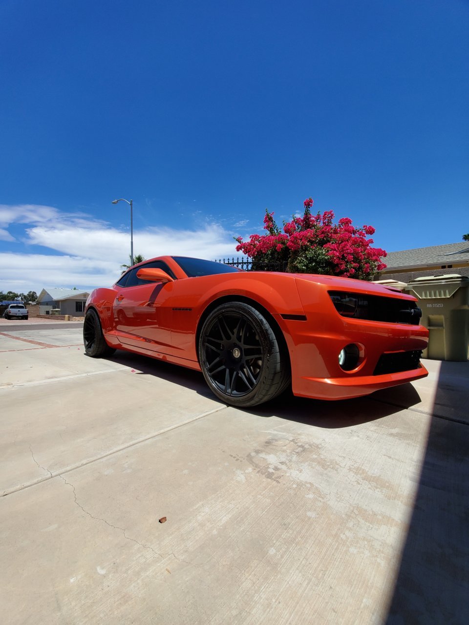 20190626_124912.jpg