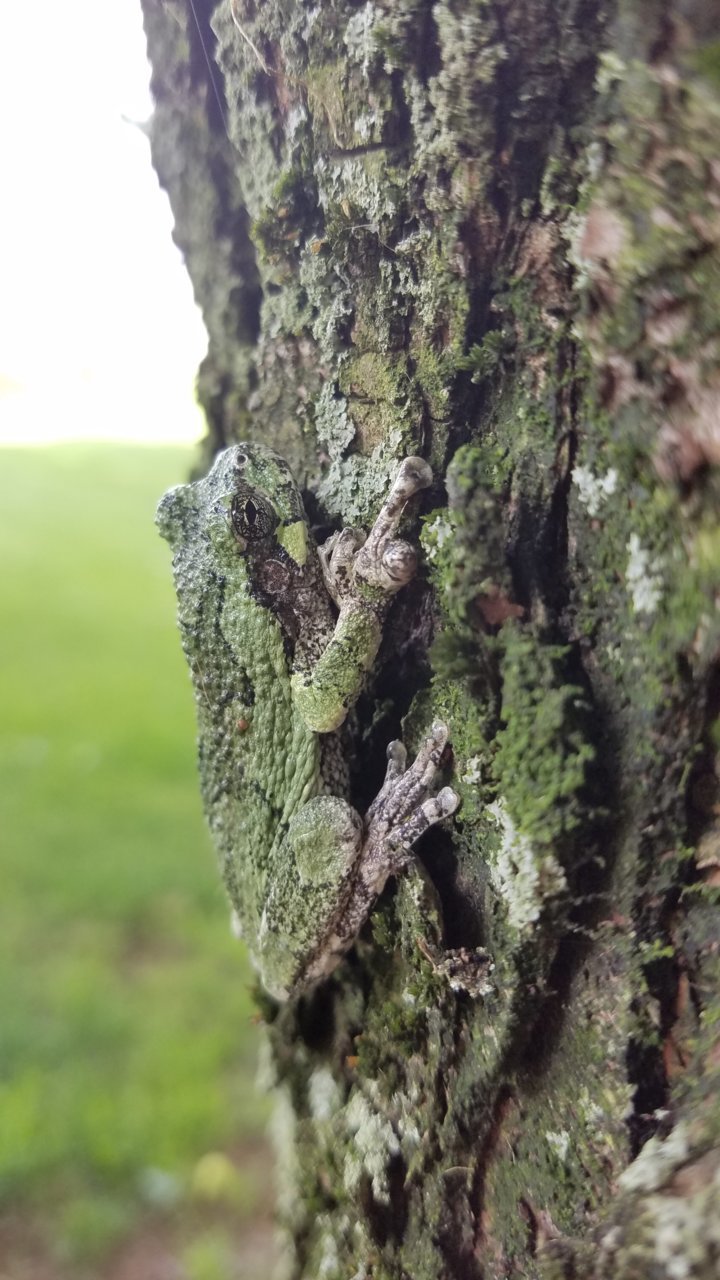 20190626_153135.jpg