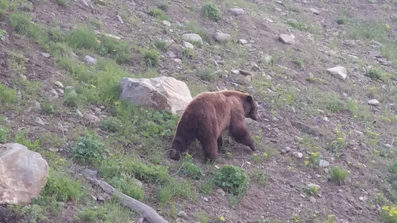 20190627_060758.jpg