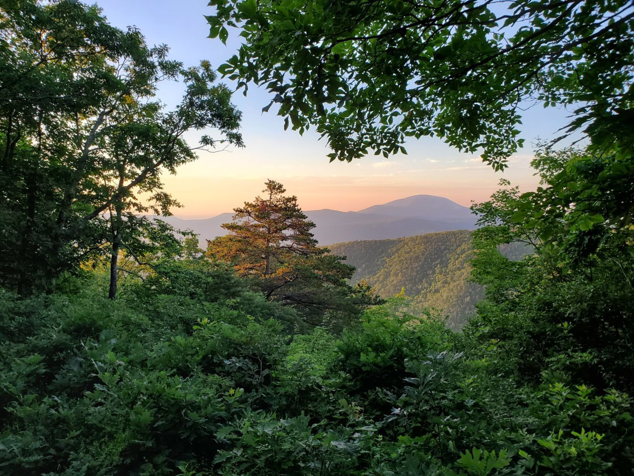 20190627_061531.jpg