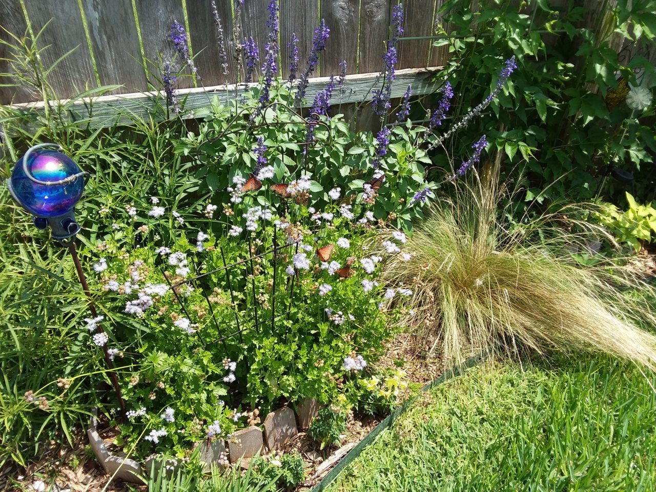 20190627_120855.jpg