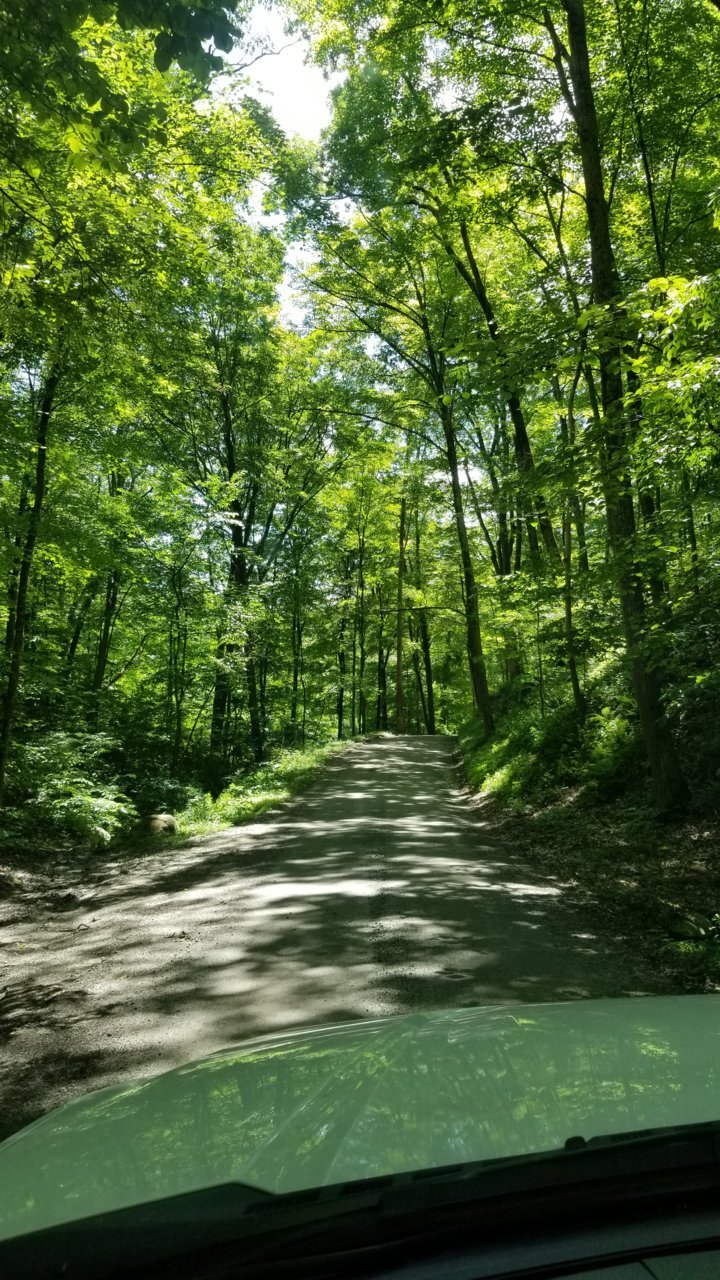 20190627_135842.jpg