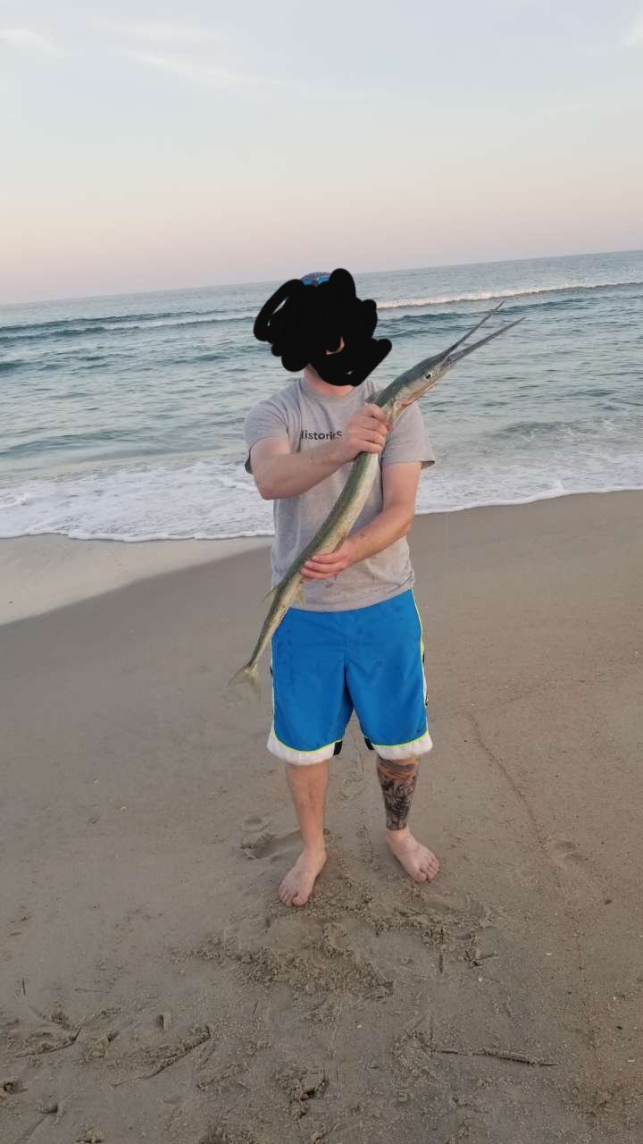 20190627_205236.jpg