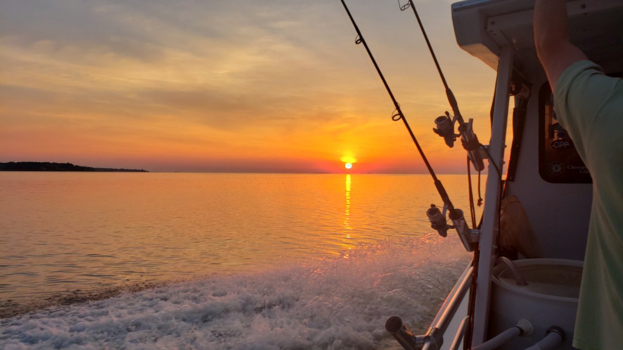 20190628_055052.jpg