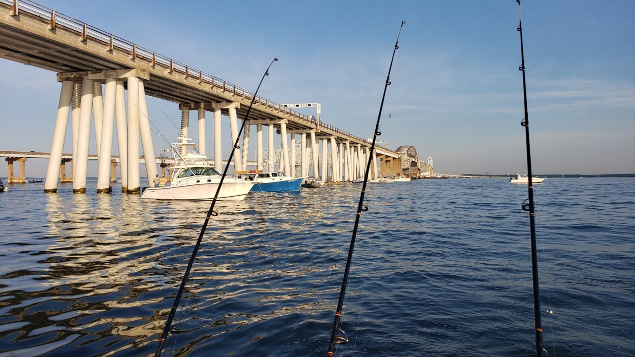 20190628_070412.jpg