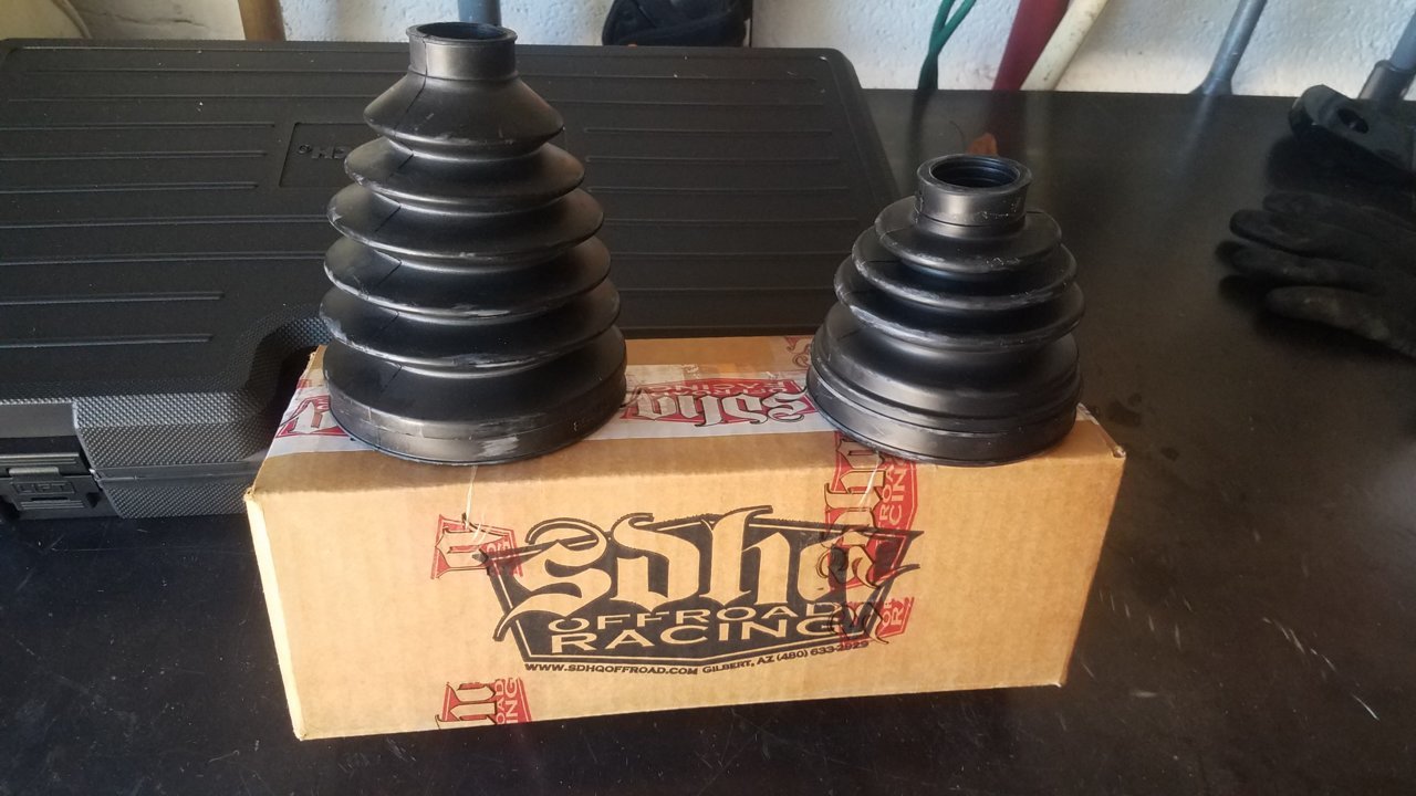 20190628_095324.jpg