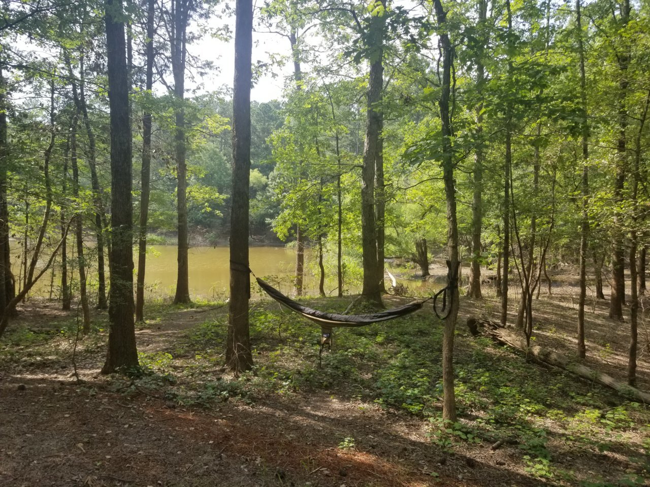 20190628_162008.jpg