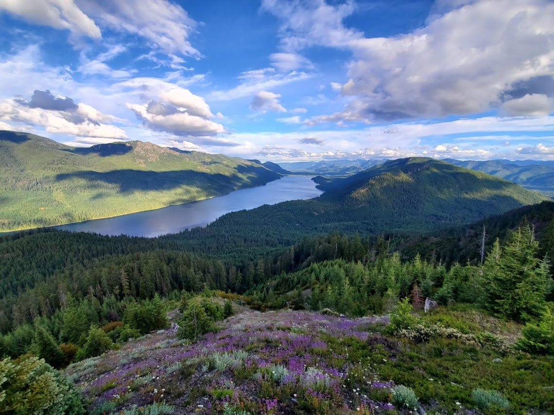 20190628_191304.jpg