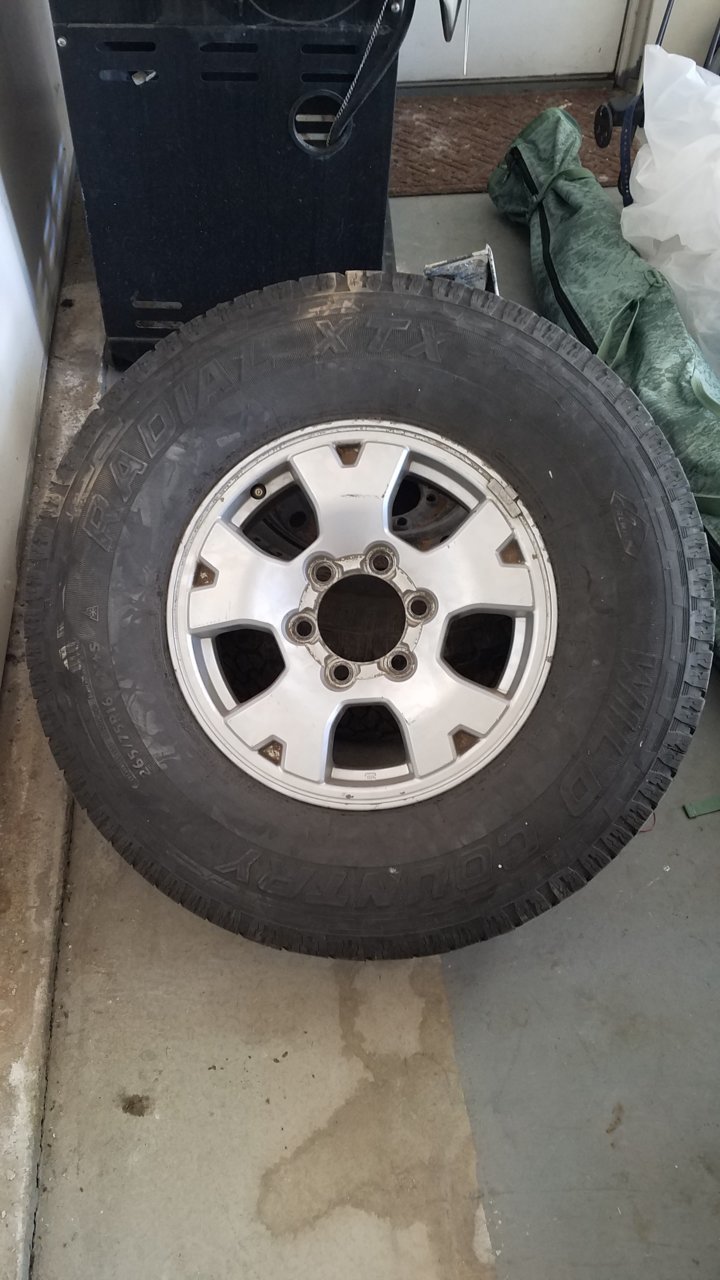 20190629_094729.jpg