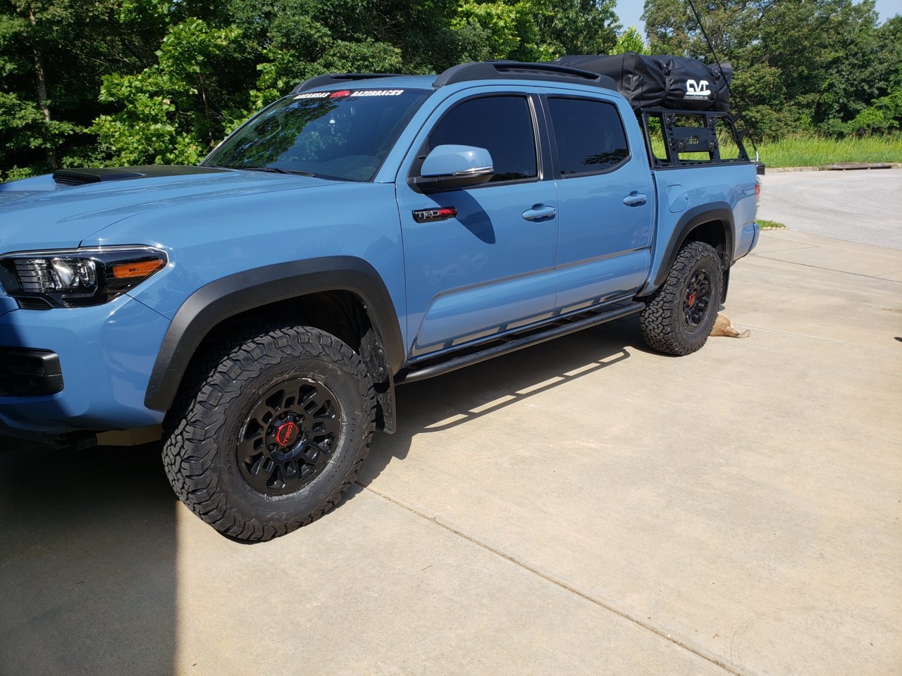 20190629_101334.jpg