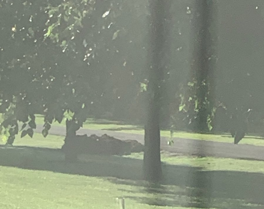 20190629_103833.jpg