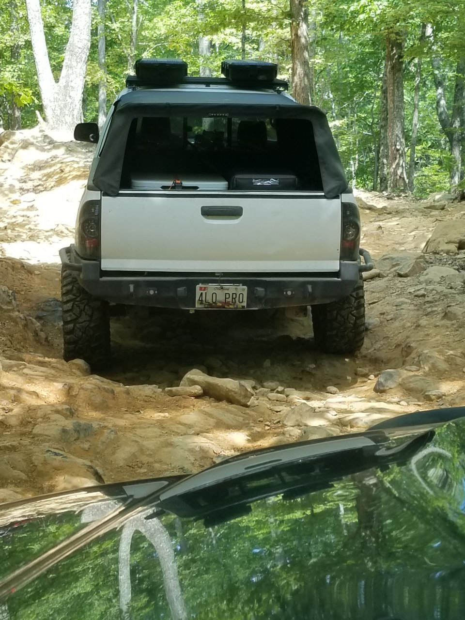 20190629_110214.jpg