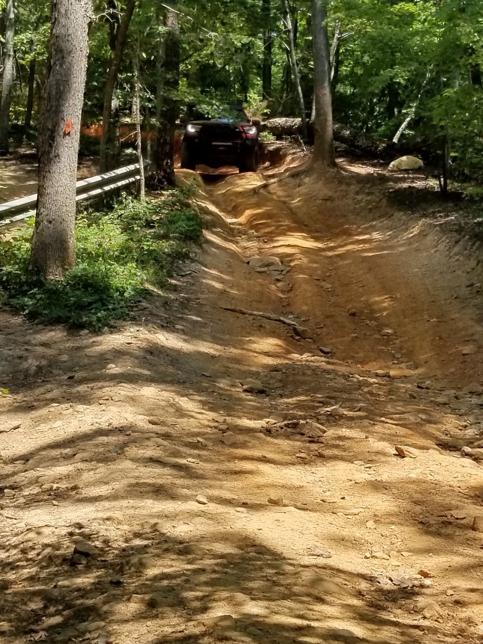 20190629_114858.jpg
