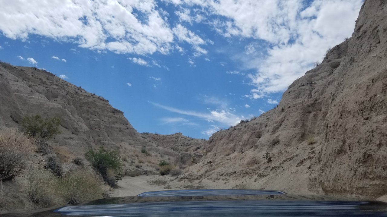 20190629_141356.jpg