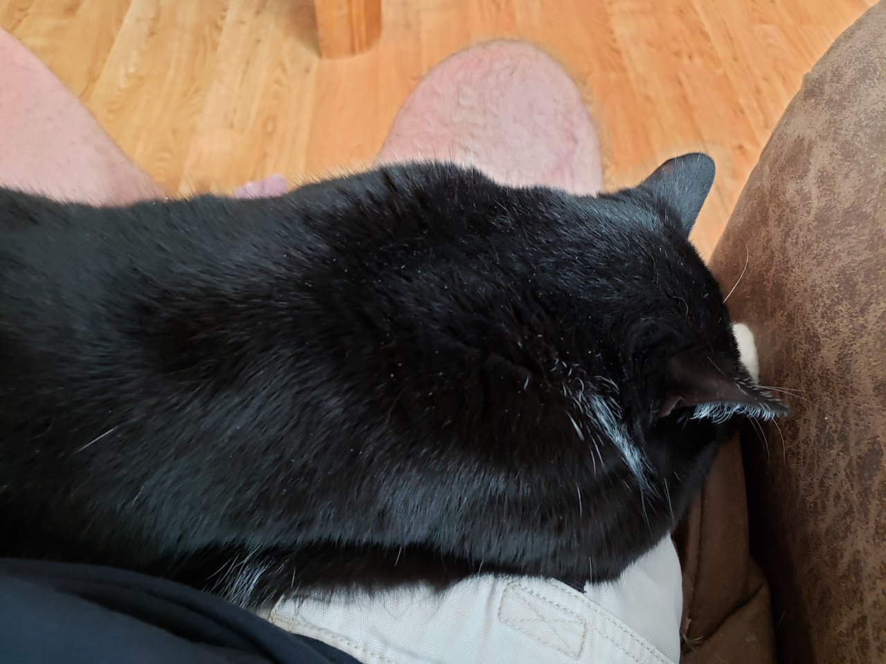 20190629_142933.jpg