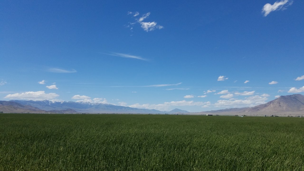 20190629_143734.jpg