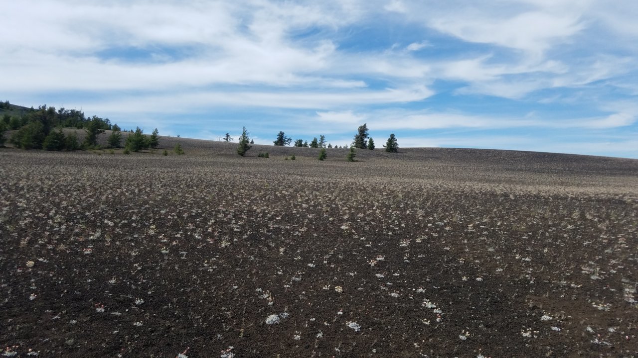 20190629_161109.jpg