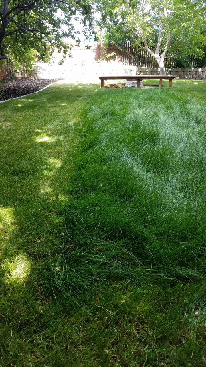 20190629_172022.jpg