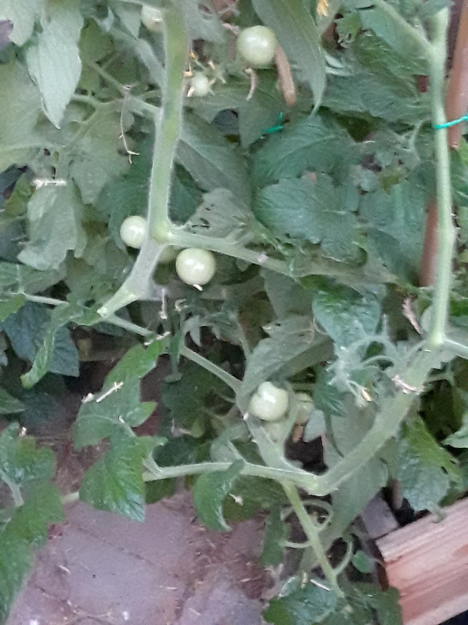 20190629_203522.jpg