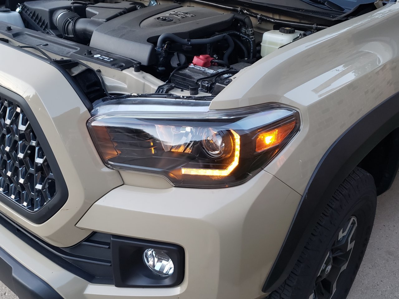 20190629_204102.jpg