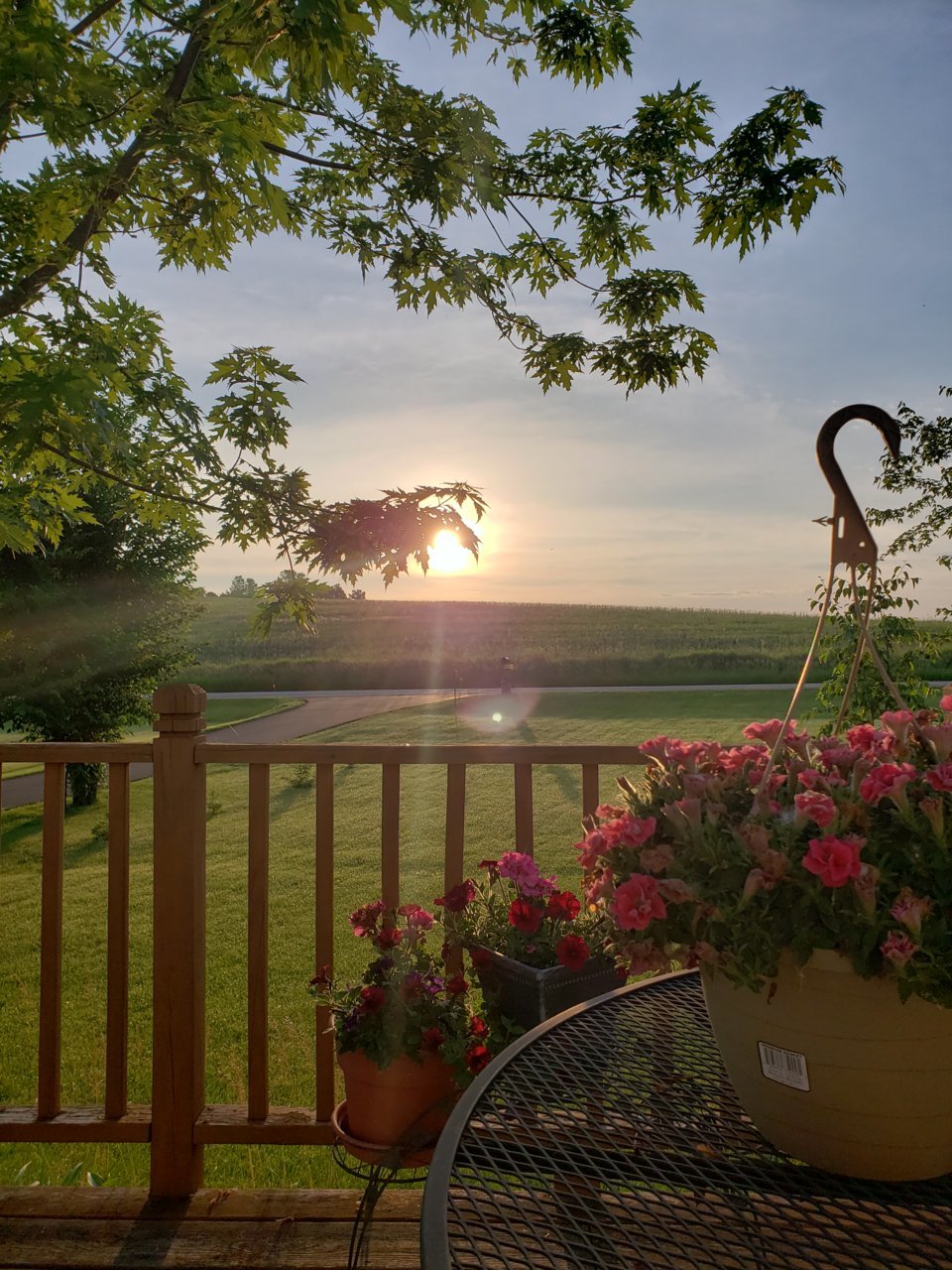 20190630_060345.jpg
