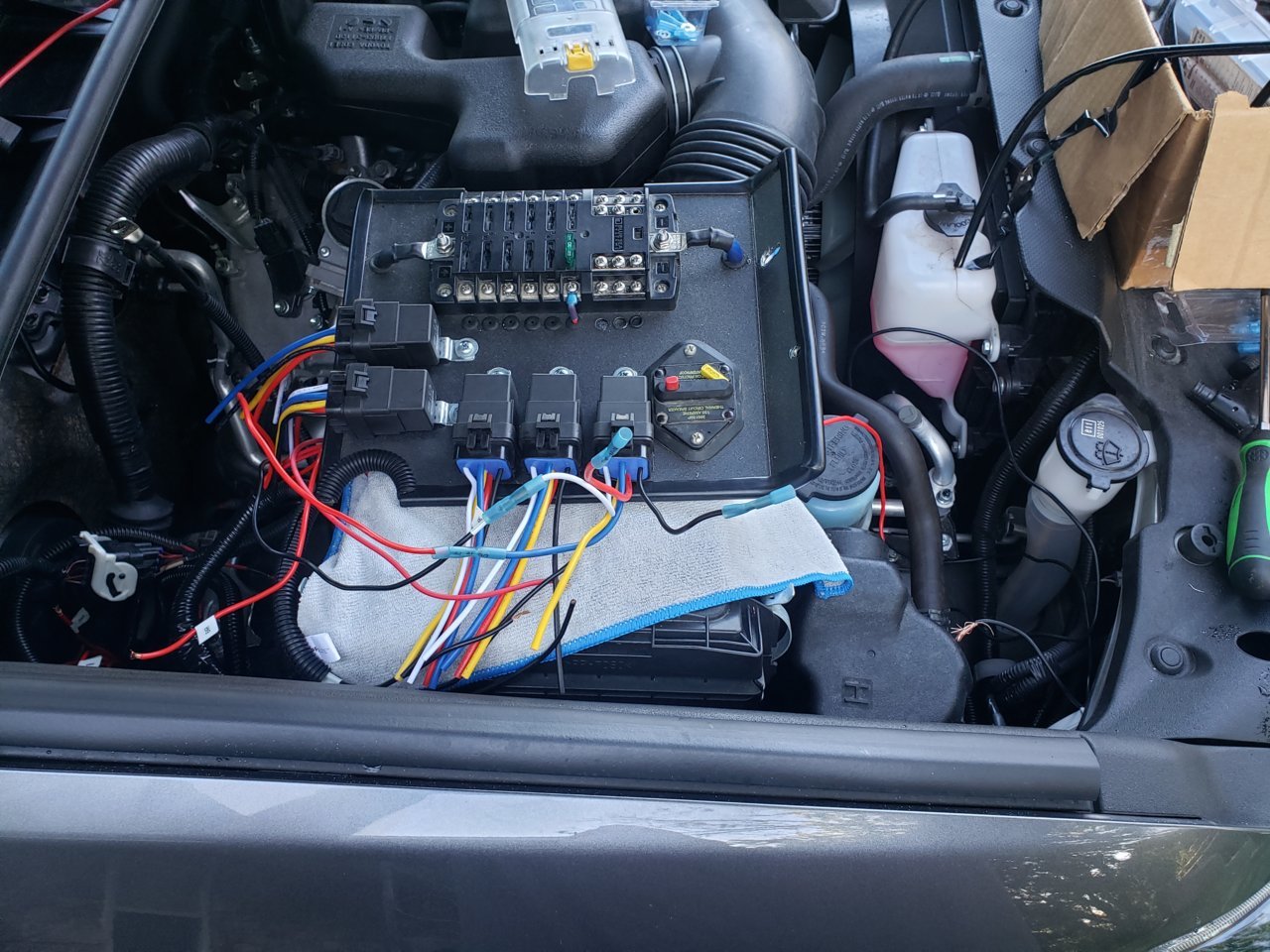 20190630_072429.jpg