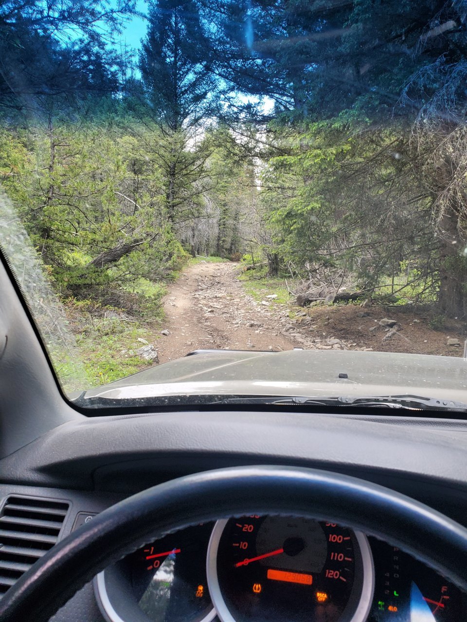 20190630_111943.jpg