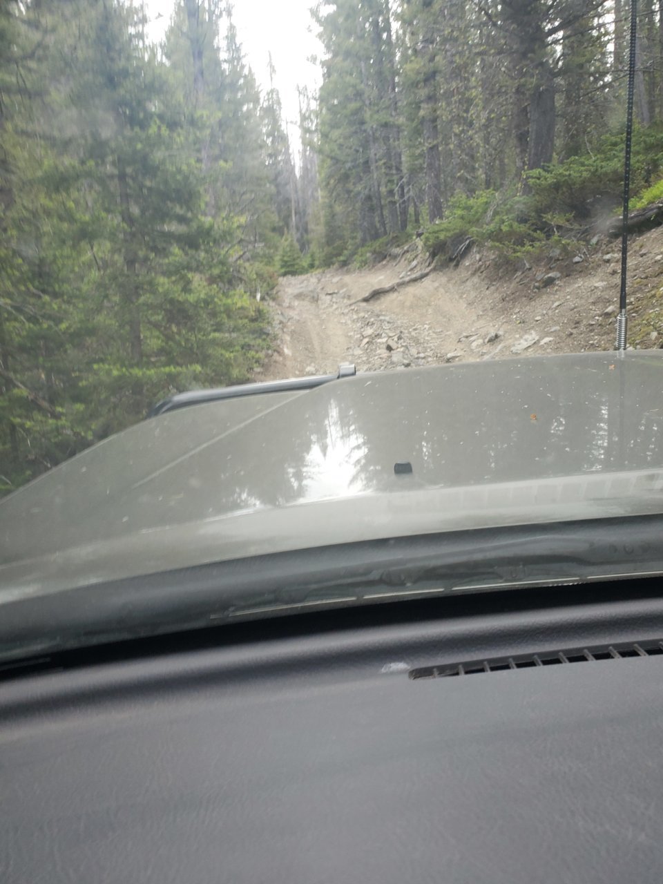 20190630_113249.jpg