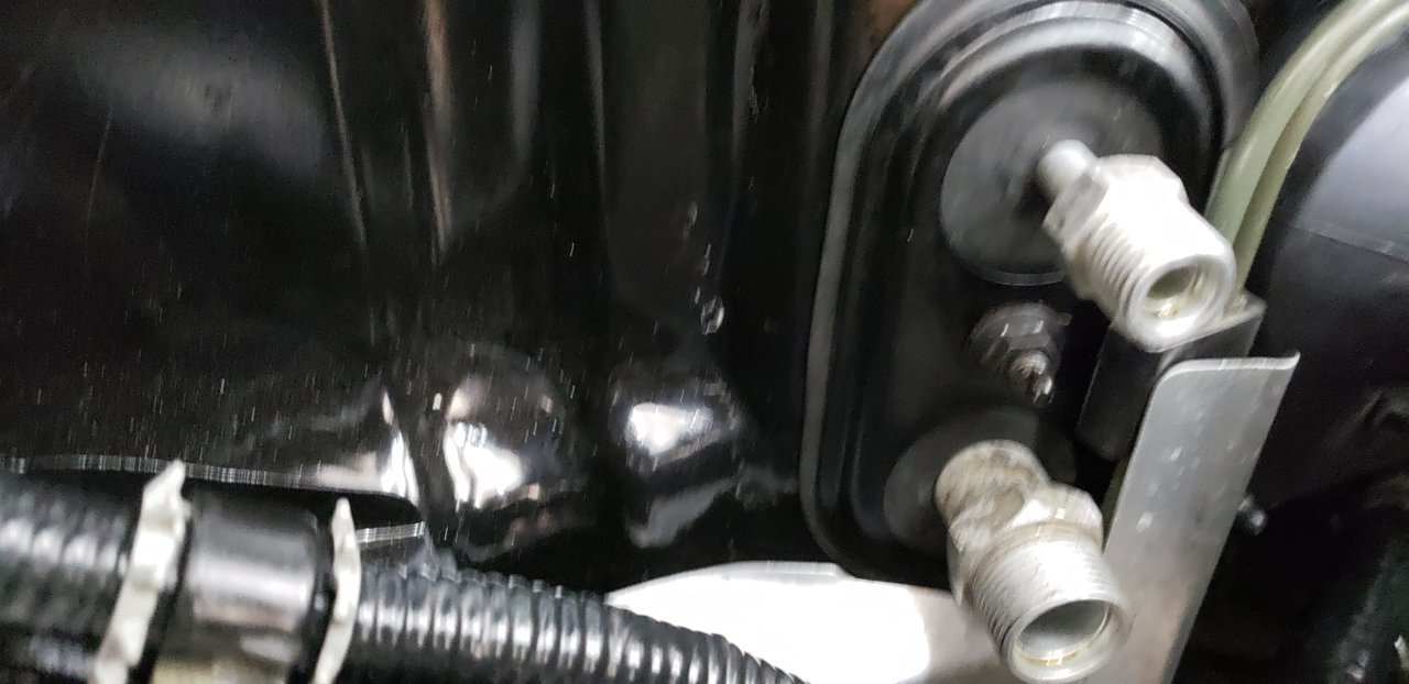 20190630_121736.jpg