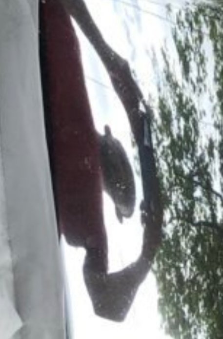 20190630_134516.jpg