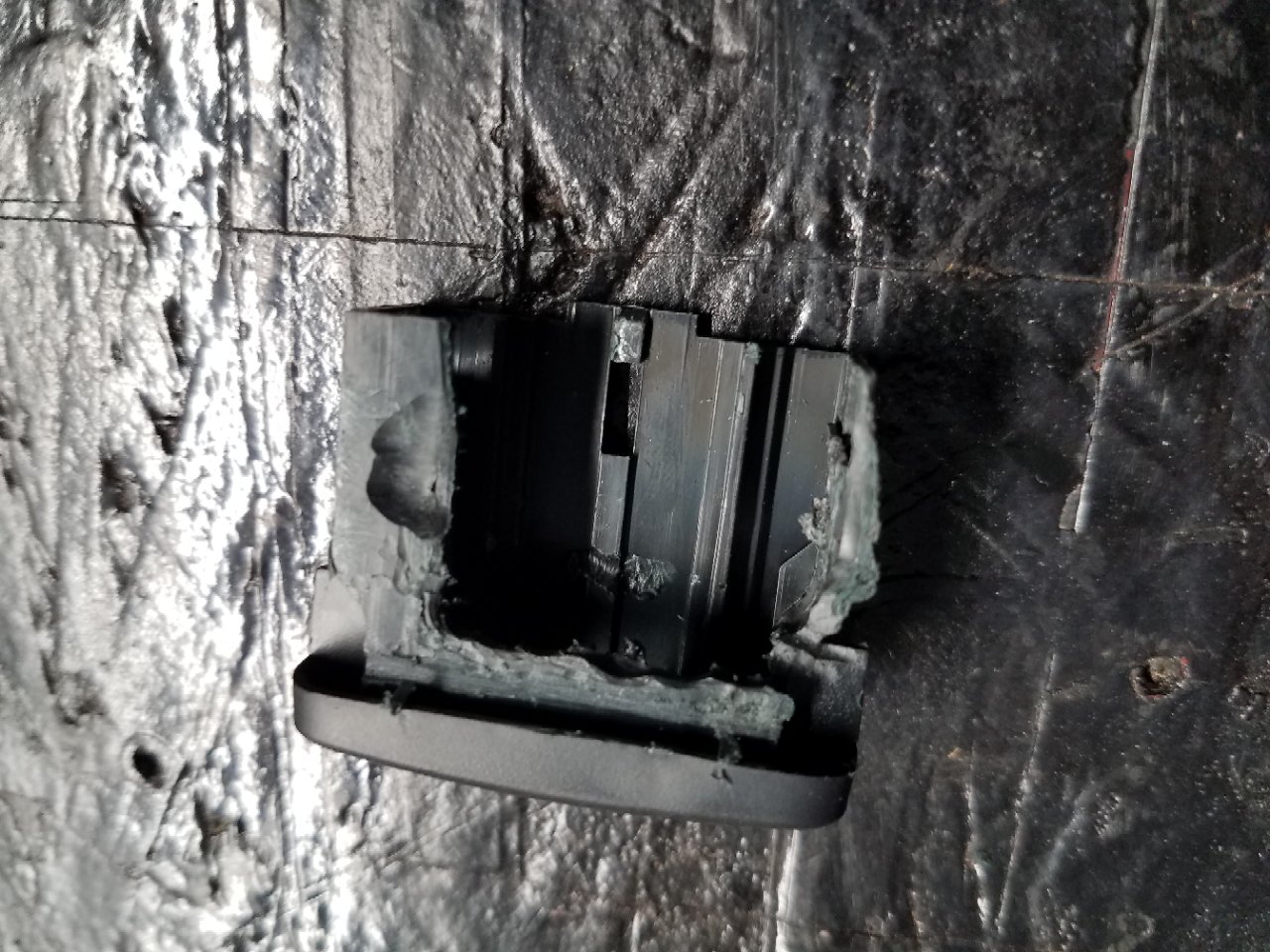 20190630_172008.jpg