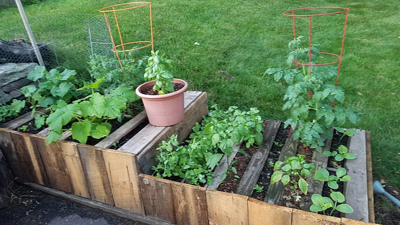 20190630_201031.jpg