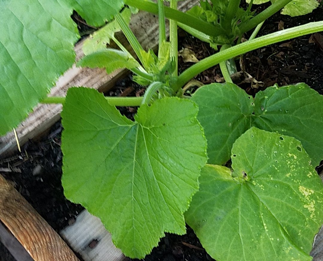 20190630_201052.jpg