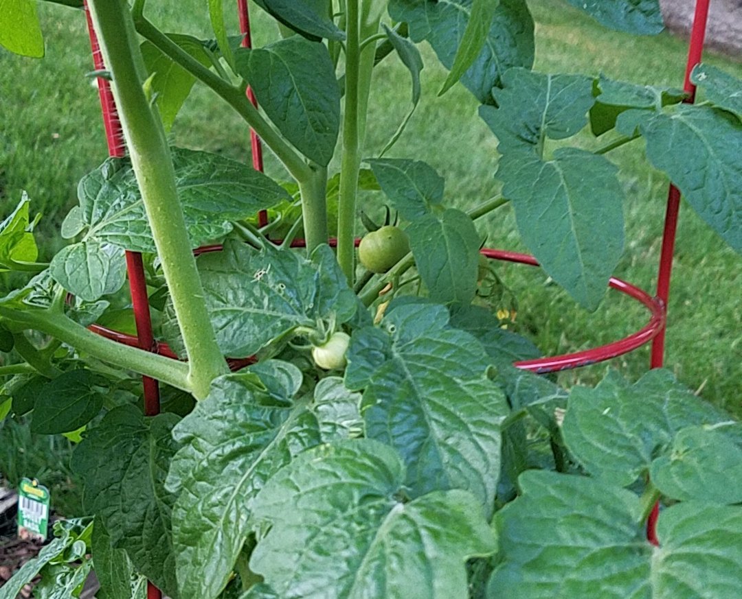 20190630_201109.jpg