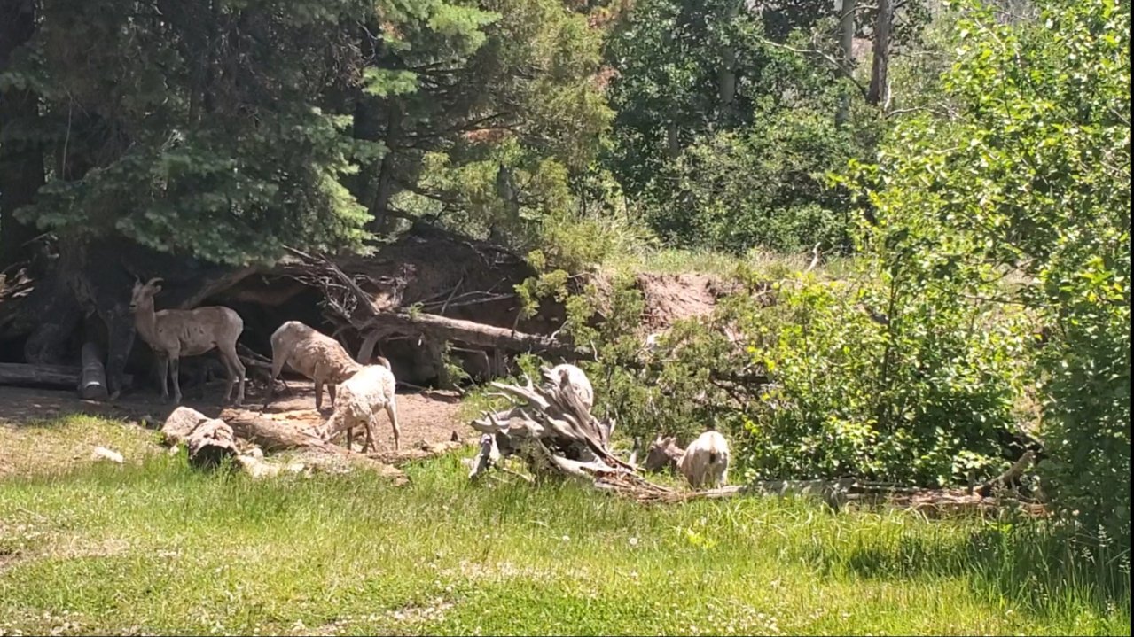 20190630_202316.jpg