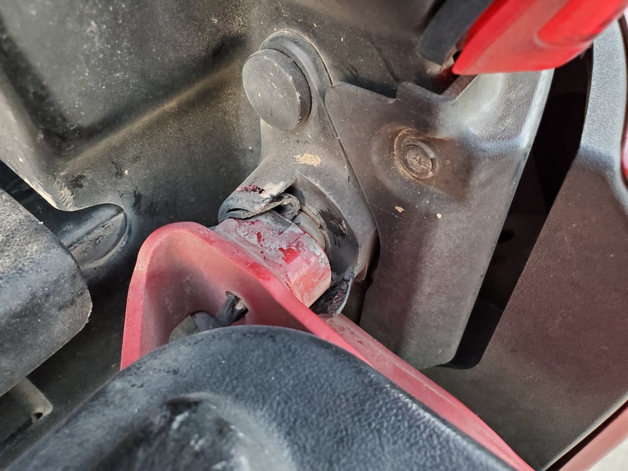 20190630_205004.jpg