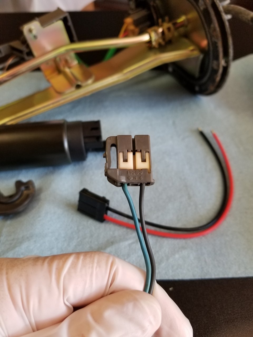 20190701_112950_48901229108_o.jpg
