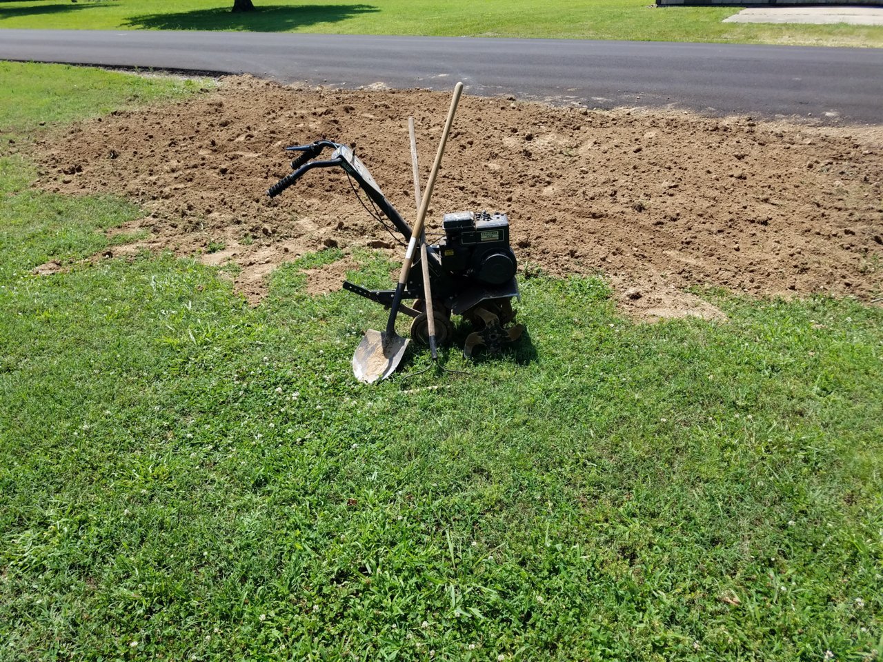 20190701_113231.jpg