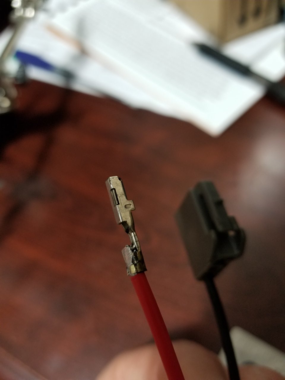 20190701_125917_48901231798_o.jpg