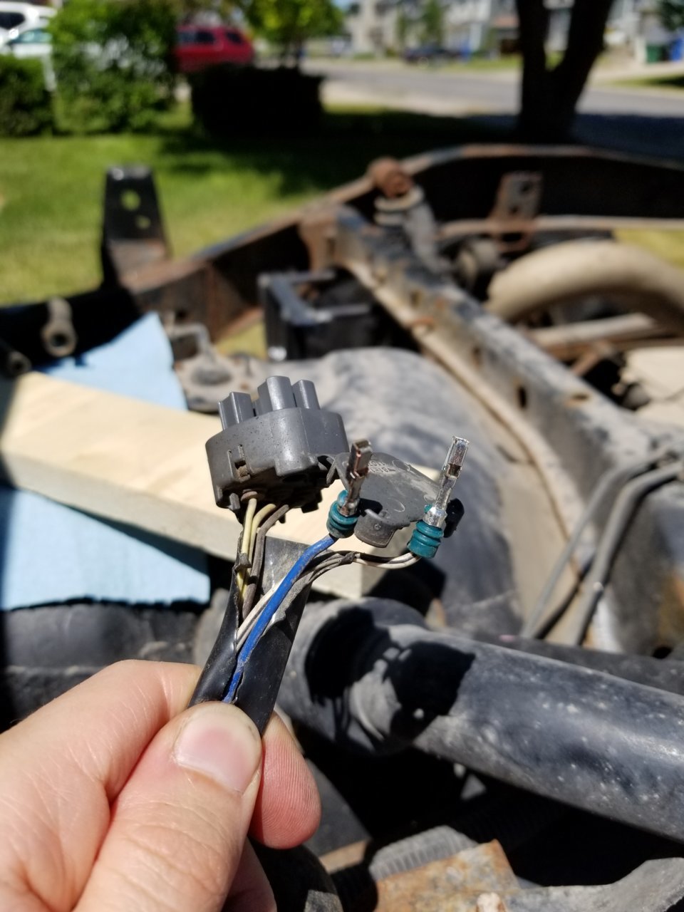 20190701_143800_48901232643_o.jpg