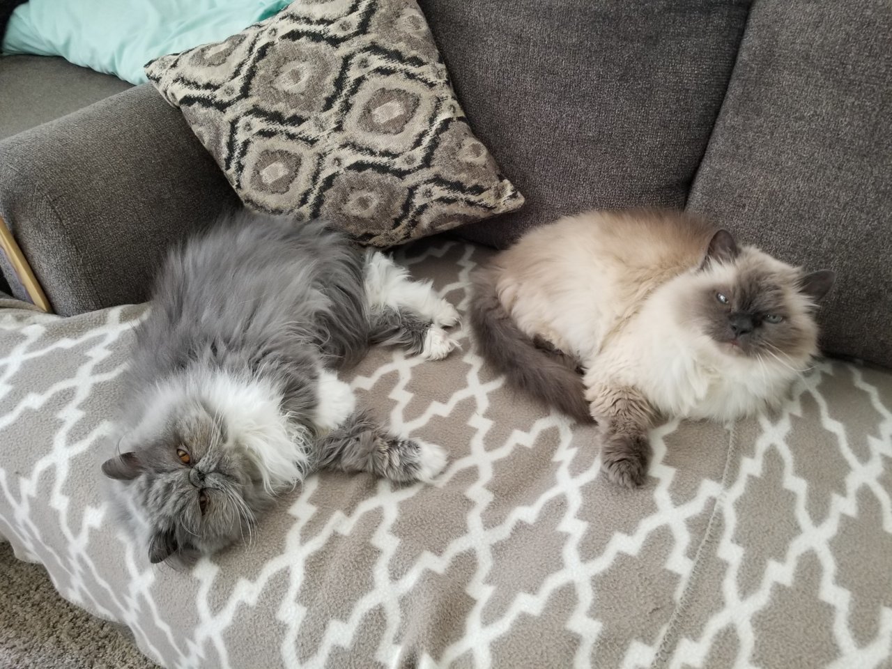 20190702_130110.jpg