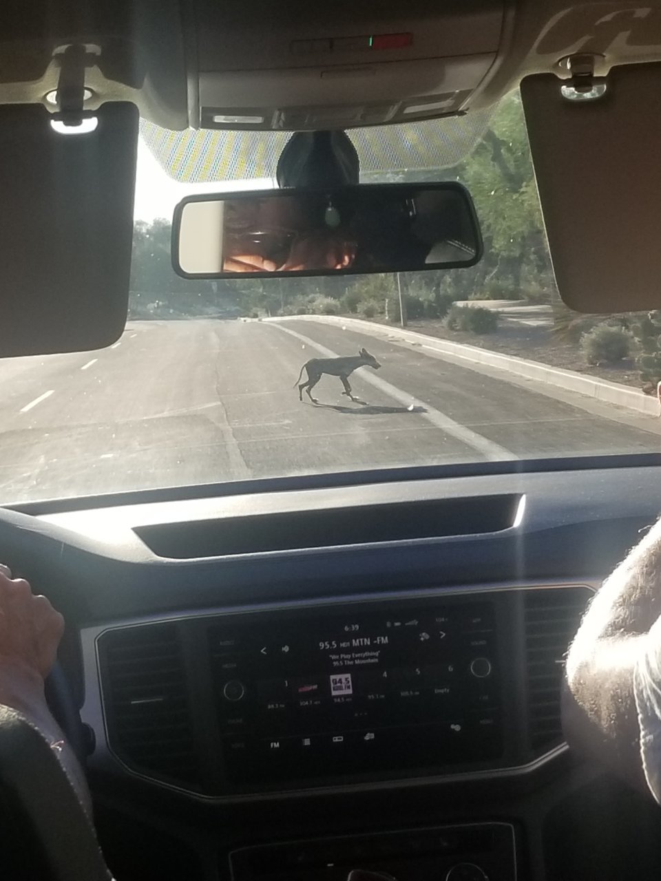20190702_184041.jpg