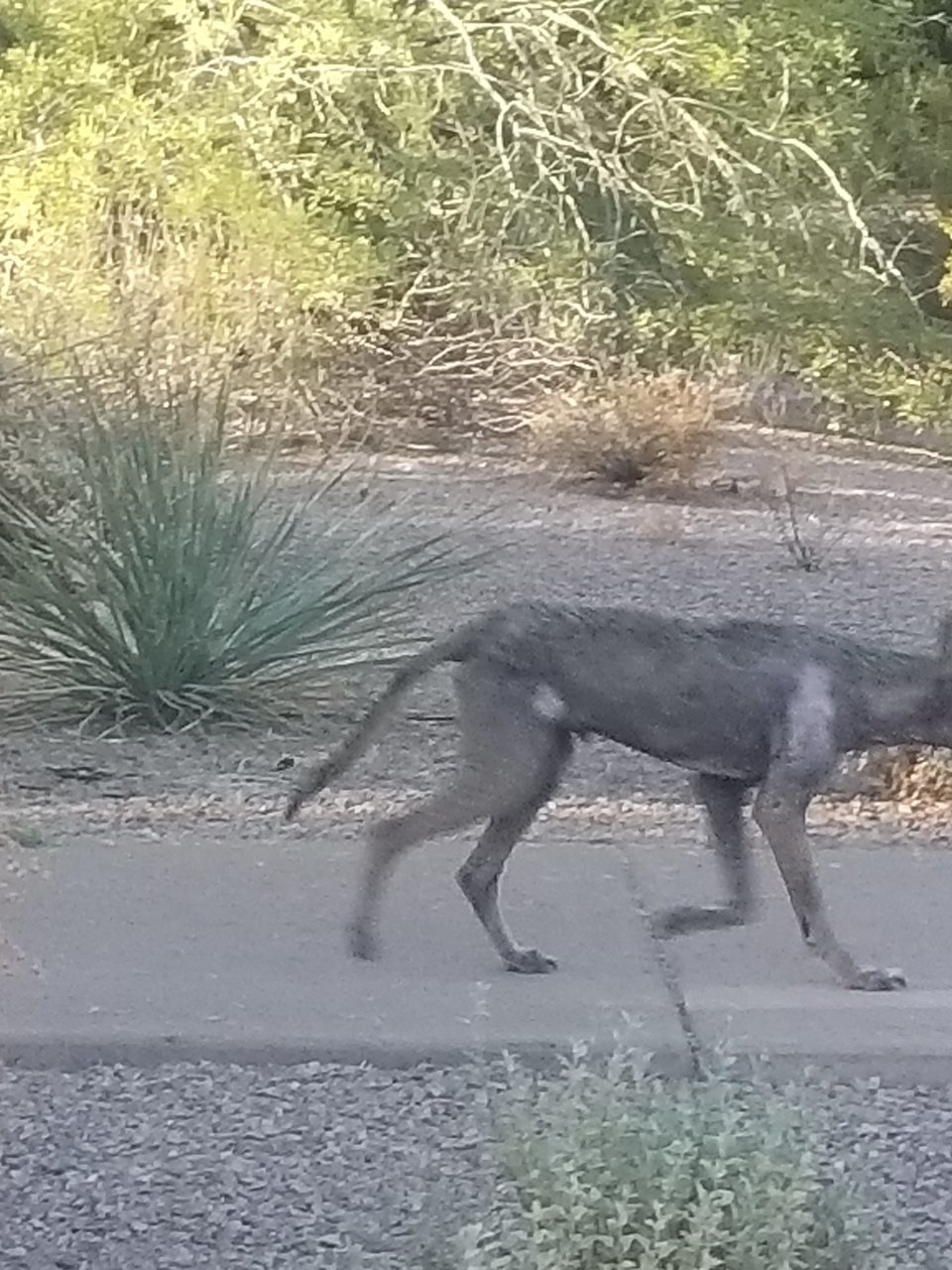 20190702_184051.jpg